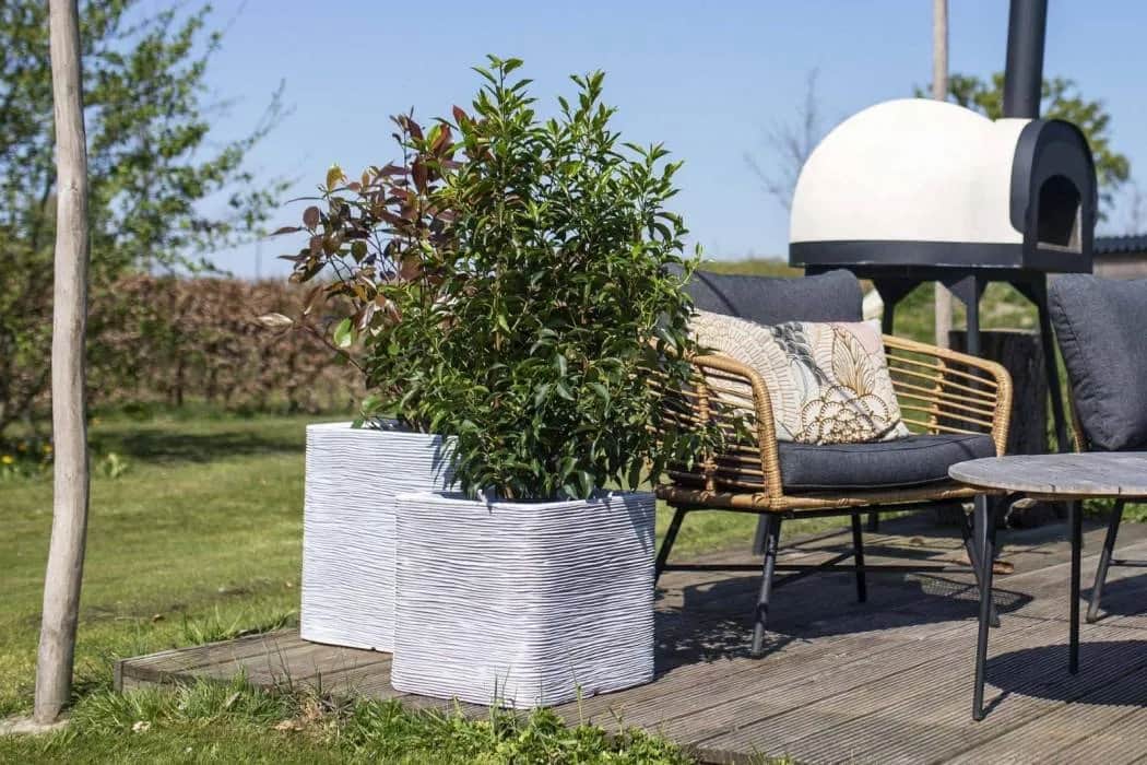 Donice wokół tarasu: inspirujący poradnik aranżacji przestrzeni