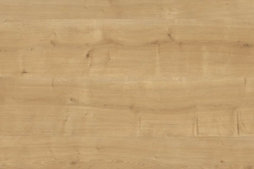 Blat dąb Hamilton: wszystko co musisz wiedzieć o wyborze